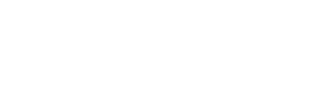 Asset